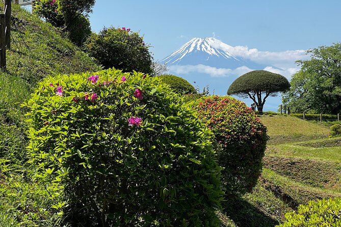 Hike Japan Heritage Hakone Hachiri With Certified Mountain Guide - What to Expect on Tour