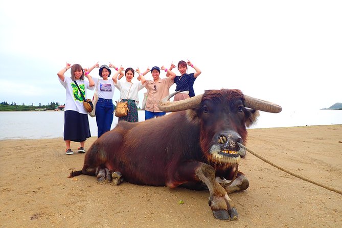 [Iriomote]Sup/Canoe Tour + Sightseeing in Yubujima Island - Pricing and Booking Information