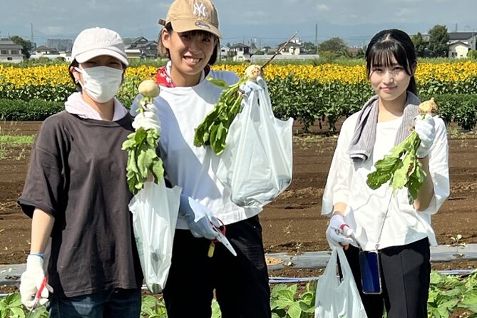 Kawagoe Sightseeing and Experience Tour to Harvest Local Foods - Cultural Immersion and Insights