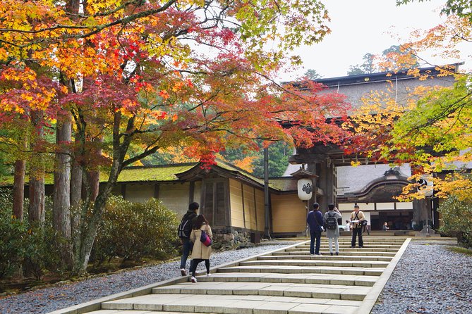 Koyasan Full-Day Private Tour - Accessibility and Special Needs