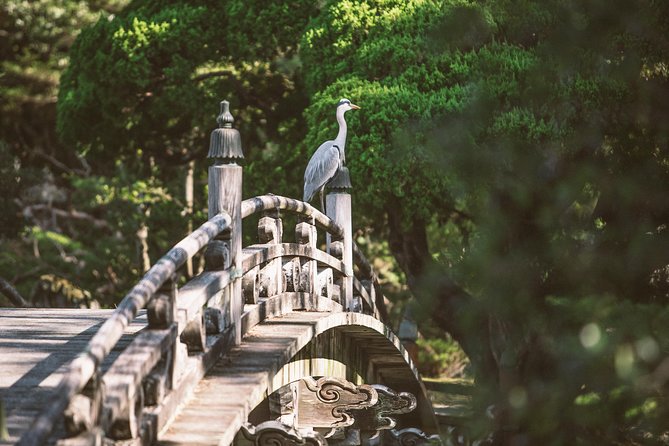 Kyoto and Nara 1 Day Trip - Golden Pavilion and Todai-Ji Temple From Kyoto - Meeting and Departure Details