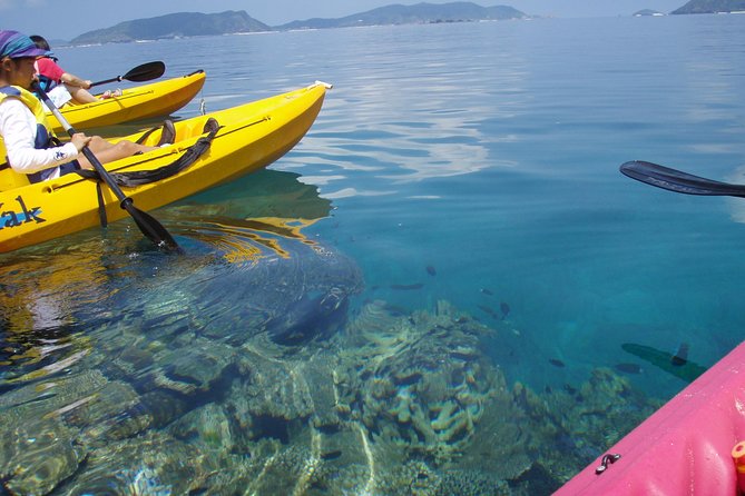 Lets Go to a Desert Island of Kerama Islands on a Sea Kayak - Snorkeling in Crystal Waters