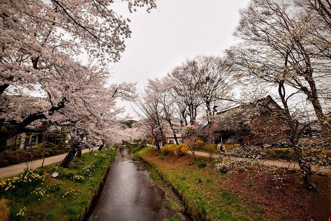 Mt Fuji Day Trip From Tokyo by Car With Photographer Guide - Getting Ready for the Trip