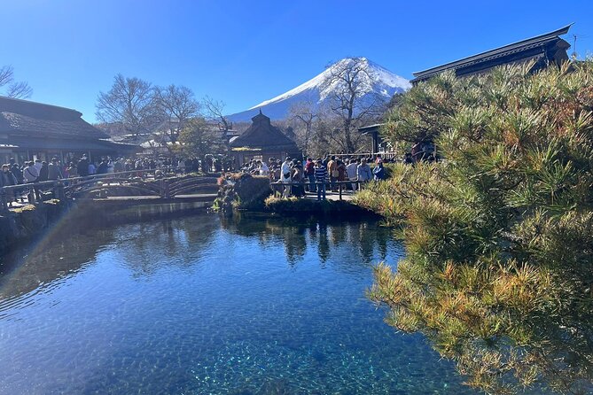 Mt. Fuji, Lake Kawaguchiko Private Tour With Pick up - Review and Rating of the Tour