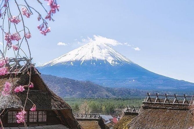 Mt Fuji Sightseeing Private Tour With English-Speaking Driver - Reviews and Testimonials