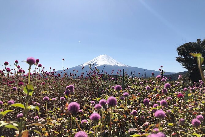 Mt Fuji With Kawaguchiko Lake Day Tour - Booking and Cancellation Policies