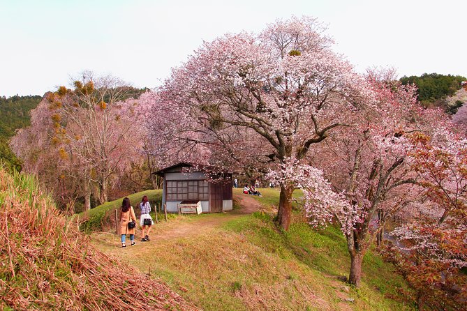 Nara Day Trip From Kyoto With a Local: Private & Personalized - Essential Information and Tips