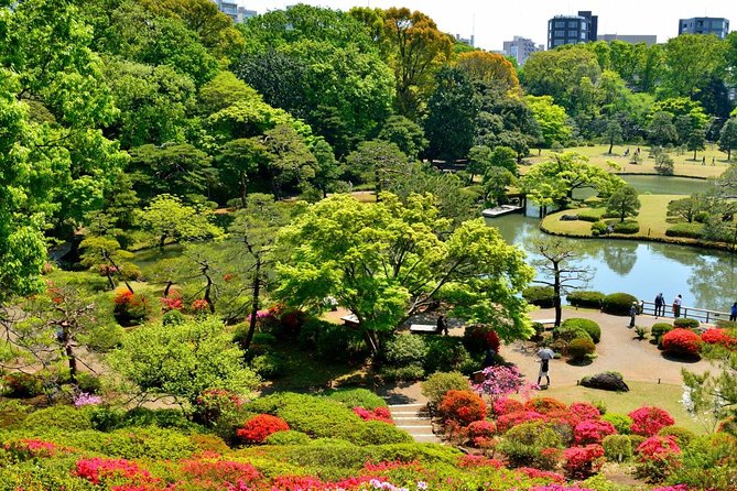 Off the Beaten Path Special in Tokyo by Walking - What to Expect and Prepare