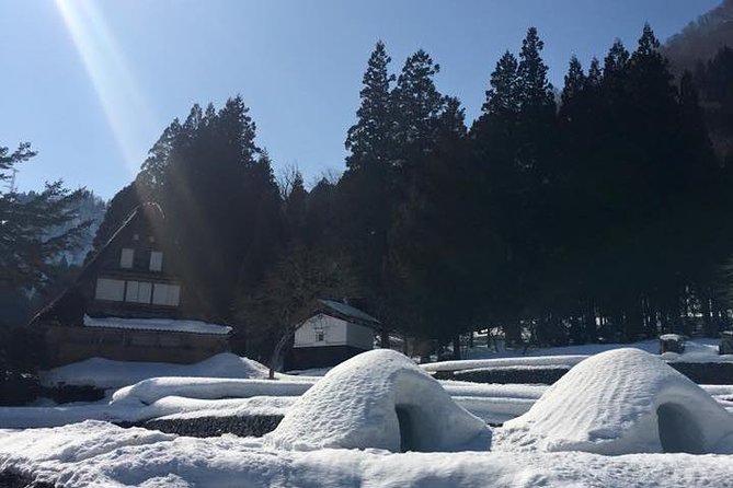 [One-Day Bus Tour Departing From Kanazawa Station] Shirakawa-Go and Gokayama - Two World Heritage Villages Enjoyable Bus Tour - Reviews and Testimonials