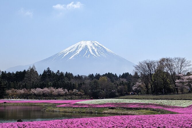 Private Car Mt Fuji and Gotemba Outlet in One Day From Tokyo - Cancellation and Refund Policy