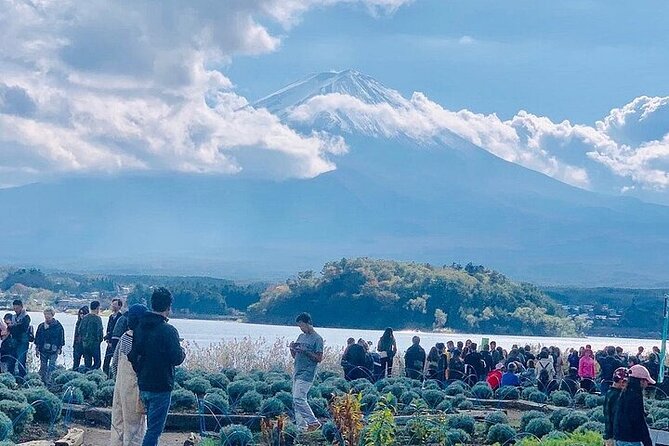 Private Mount Fuji and Hakone 1-Day Sightseeing Tour With Guide - Review and Rating Analysis