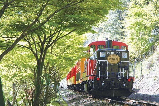 Sagano Romantic Train & Arashiyama, Kiyomizudera, Fushimi Inari Taisha Day Tour - Inclusions and Optional Extras