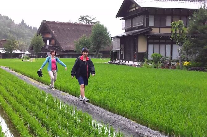 Shirakawago & Takayama Tour Kanazawa DEP: Driver Only, No Guide - Reviews and Ratings Analysis