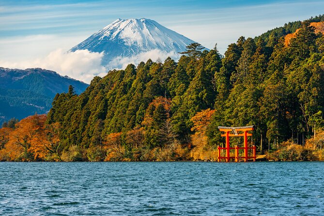 3 Day Japan Highlights Tour (Tokyo, Hakone, Nara, Osaka, Kyoto). - Accessibility and Special Needs