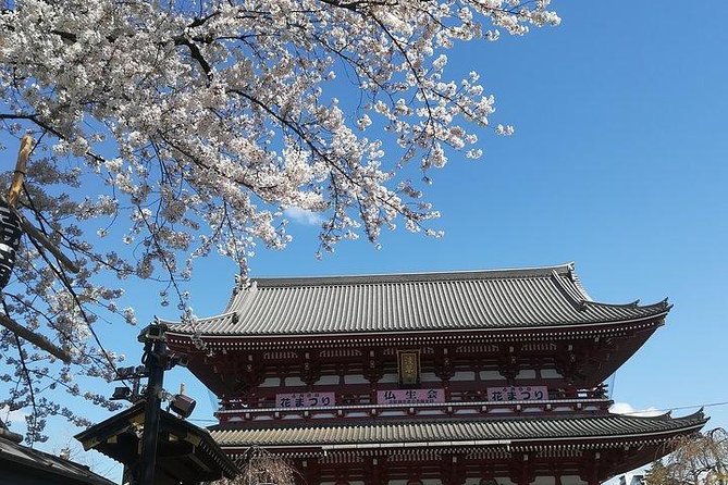 Cherry Blossom Highlights, Asakusa, Ueno, Imperial Palace Garden - Tips for Enjoying the Tour