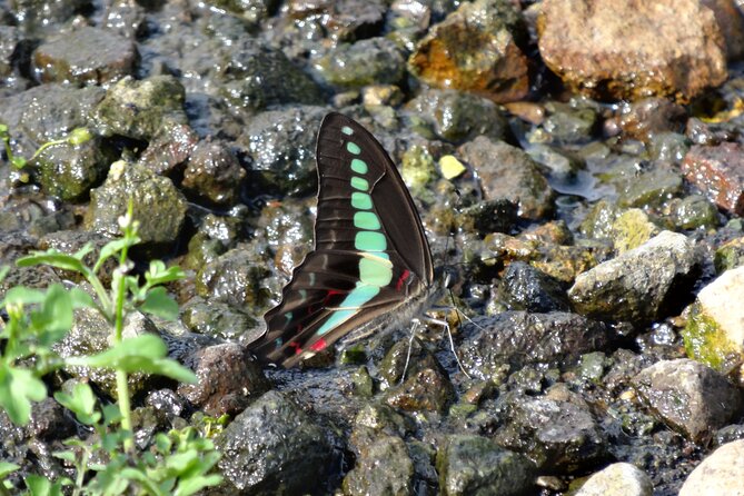 Easygoing Nature Walk in Hakone Tour - Booking and Cancellation Rules