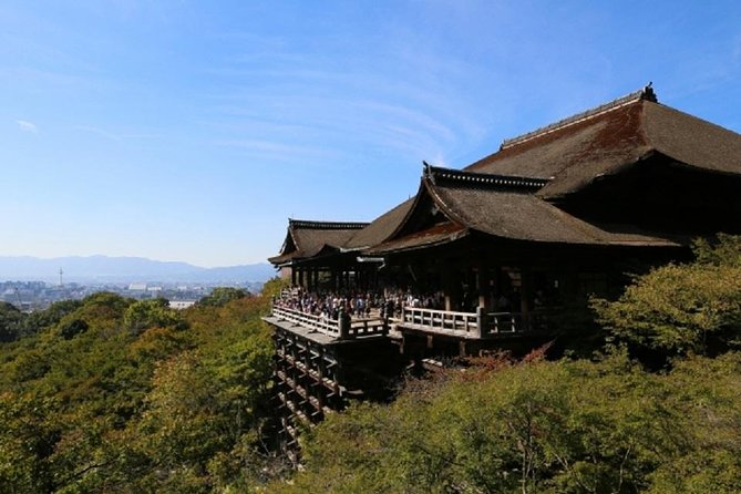 Free Choice of Itineraries Kyoto Private Tour - Insider Tips and Recommendations