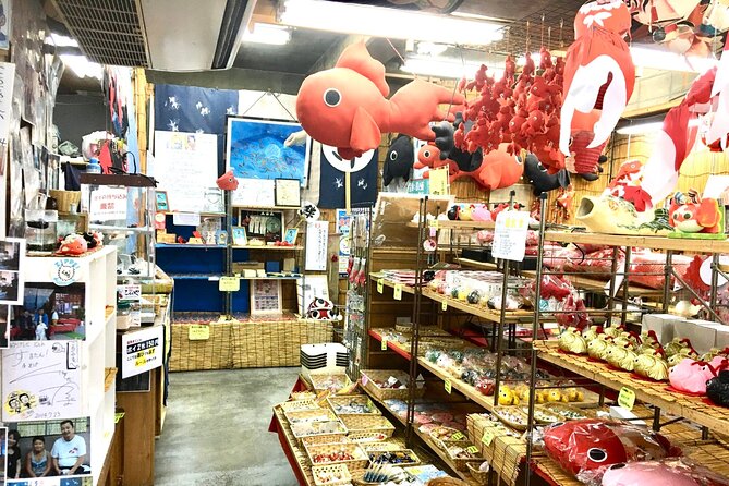 Full-Day Goldfish Unique Experience in Yamato-Koriyama, Nara - What to Expect and Tips