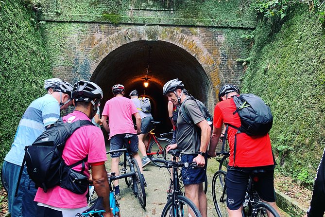 Guided Hybrid Bike Tour in Shizuoka City (Note: Not E-Bikes) - What to Expect on the Tour