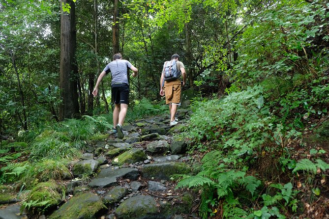 Hike Japan Heritage Hakone Hachiri With Certified Mountain Guide - Real Traveler Reviews