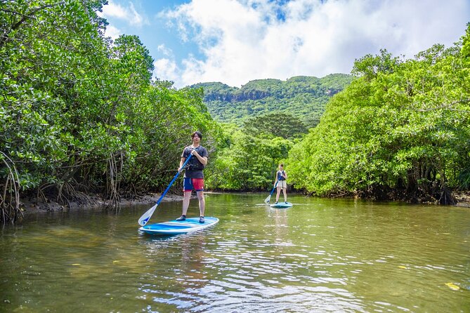 [Iriomote]Sup/Canoe Tour + Sightseeing in Yubujima Island - Yubujima Island Sightseeing Highlights