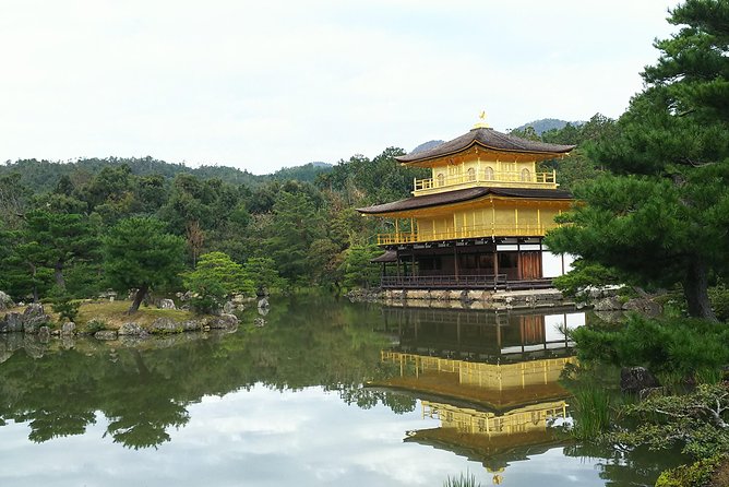 Kyoto Lazy Bird Tour - Booking and Cancellation Policies