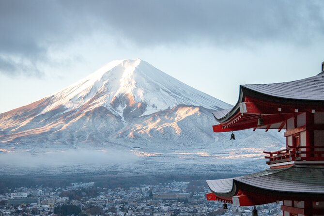 Mount Fuji Sightseeing Private Group Tour(English Speaking Guide) - Customer Reviews and Ratings