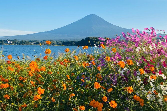 Mt.Fuji Hakone Private Tour With English Speaking Chauffeur - Scenic Spots and Attractions