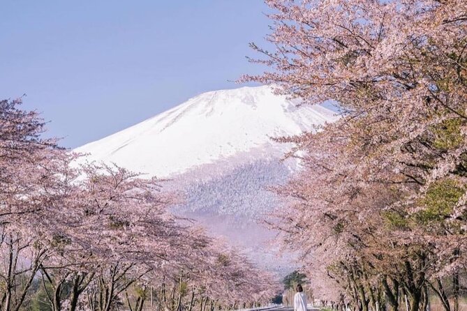 Mt Fuji Sightseeing Private Tour With English-Speaking Driver - Pricing and Cancellation Policy