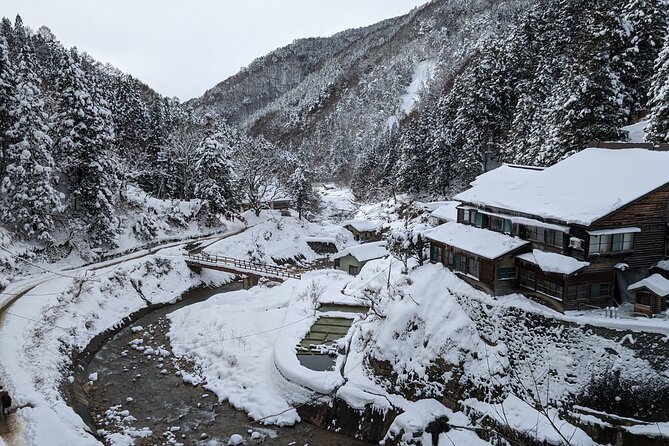 Nagano Snow Monkey 1 Day Tour With Beef Sukiyaki Lunch From Tokyo - Cancellation and Refund Policy