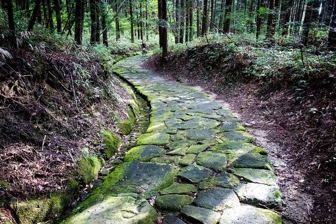 Nakasendo Self-Guided Walking Tour 2 Days - Tour Logistics and Operations