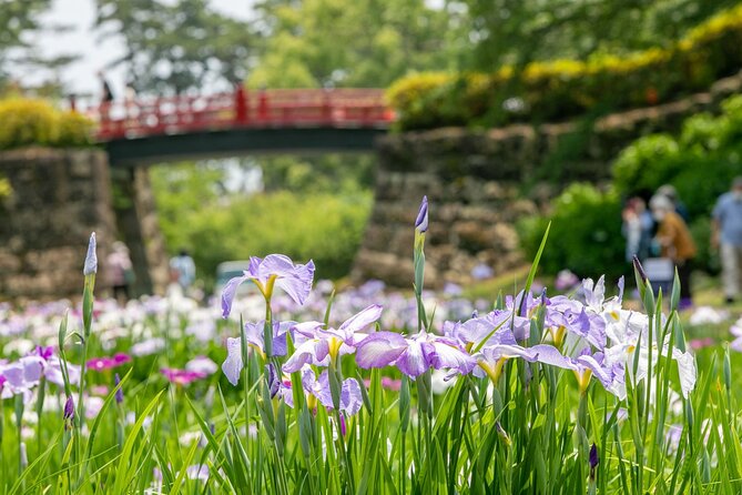 Odawara Castle and Town Guided Discovery Tour - Tour Logistics and Details