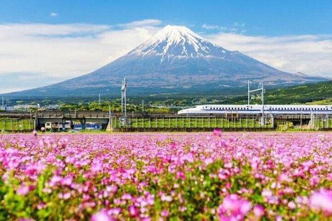 Private Mount Fuji and Hakone Sightseeing Day Trip With Guide - Mount Fuji and Hakone Highlights