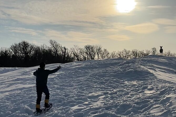 Private Snow Shoe Tour in Shiretoko National Park - Meeting and Pickup Points