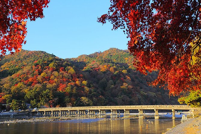 Sagano Romantic Train & Arashiyama, Kiyomizudera, Fushimi Inari Taisha Day Tour - Reviews and Testimonials