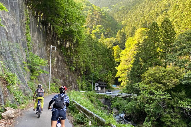 Tokyos Hidden Nature Cycling Tour - Okutama Historical Road Tour - Is This Tour Right for You?