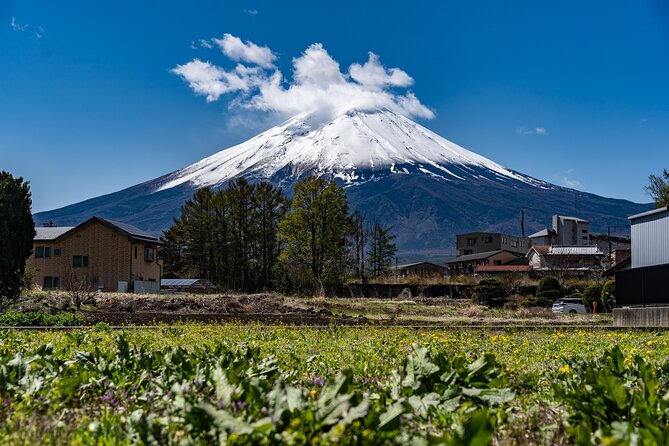 A Class on Making Hoto, Yamanashis Traditional Dish - A Deeper Dive Into Hoto Culture