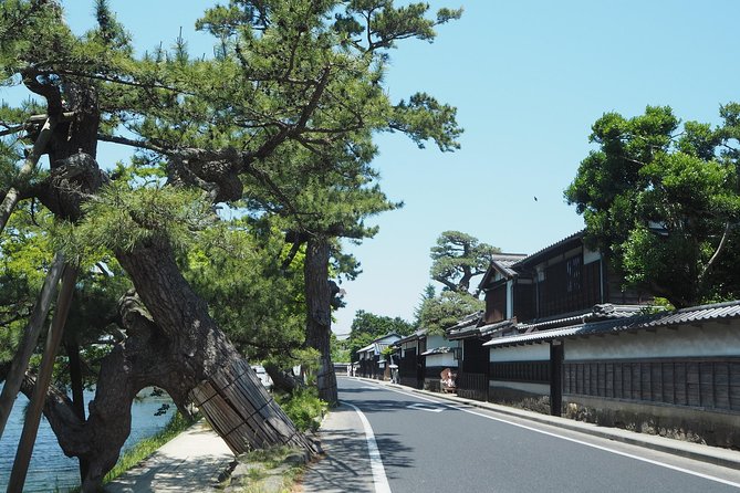 An E-Bike Cycling Tour of Matsue That Will Add to Your Enjoyment of the City - Tips for a Safe and Fun Ride