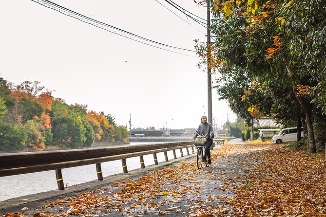 Explore Nara the Birthplace of the Country With E-Bike - Bringing It All Together