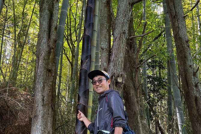 Hike Japan Heritage Hakone Hachiri With Certified Mountain Guide - Important Safety Considerations