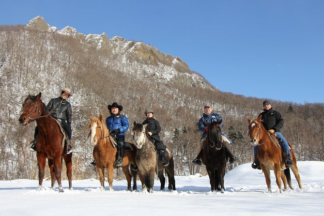 Horseback-Riding in a Country Side in Sapporo - Private Transfer Is Included - Private Transfer Service Information