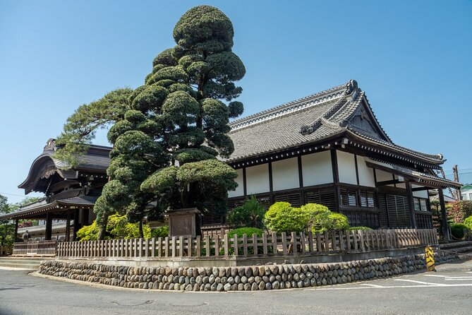 Kawagoe Sightseeing and Experience Tour to Harvest Local Foods - Getting Ready for the Adventure