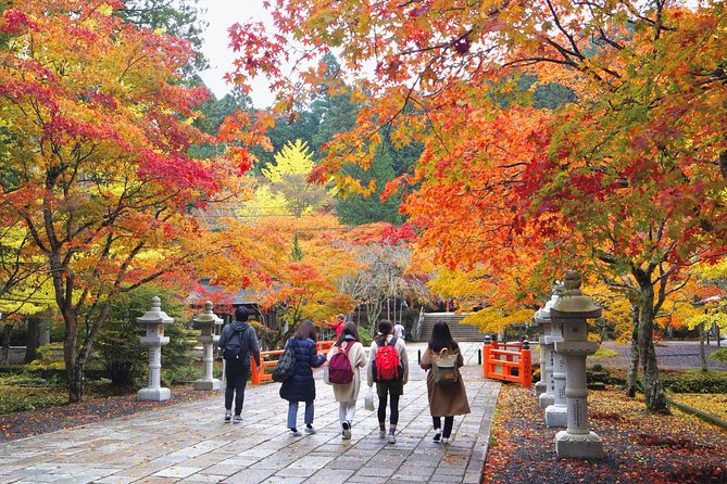 Koyasan Full-Day Private Tour - Cancellation and Refund Policy