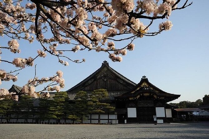 Kyoto and Nara 1 Day Trip - Golden Pavilion and Todai-Ji Temple From Kyoto - Preparing for Your Adventure