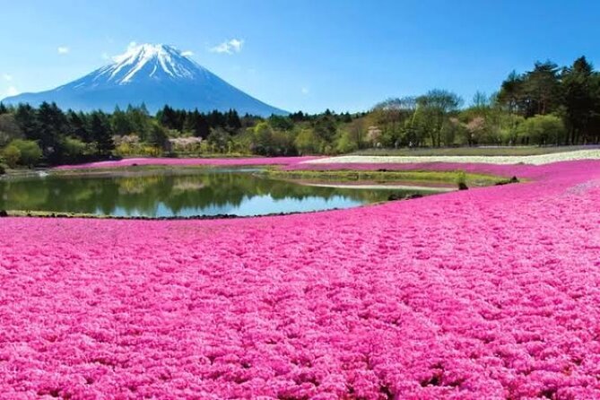 Mount Fuji and Hakone Private Tour With English Speaking Driver - Essential Information to Know