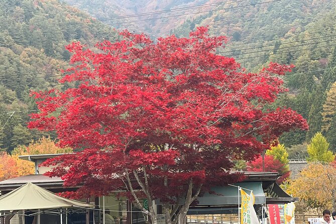 Mt. Fuji, Lake Kawaguchiko Private Tour With Pick up - Making the Most of Your Day