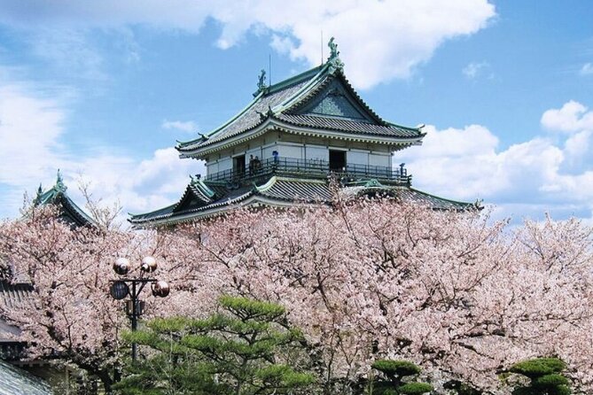 Nara, Todaiji Temple & Kuroshio Market Day BUS Tour From Osaka - Essential Tour Details to Know