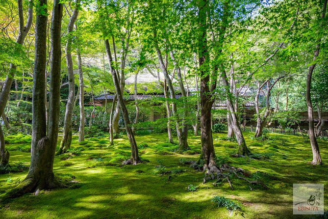 Private 3-hour Kyoto Arashiyama Rickshaw Tour - Reviews and Pricing Information