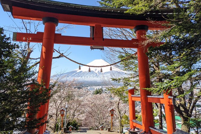 Private Car Mt Fuji and Gotemba Outlet in One Day From Tokyo - Why Choose This Private Car Tour