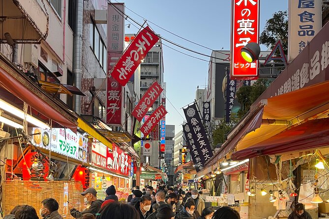 Private Half-Day Tour Colorful and Busy Street in Central Tokyo - Getting the Most Out of Tour